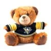 Pittsburgh Penguins Forever Collectibles NHL Seated Jersey Bear